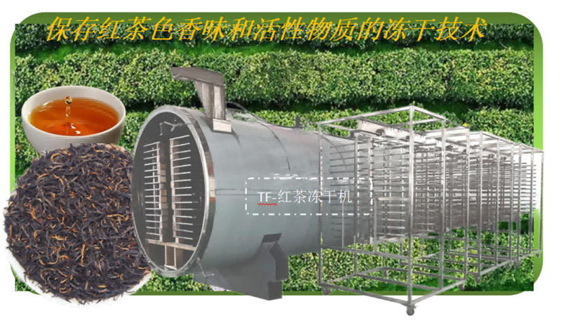 紅茶凍干技術(shù)和紅茶凍干機工作原理