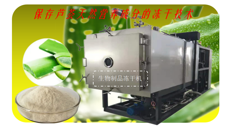 蘆薈凍干粉冷凍干燥設(shè)備蘆薈凍干機介紹