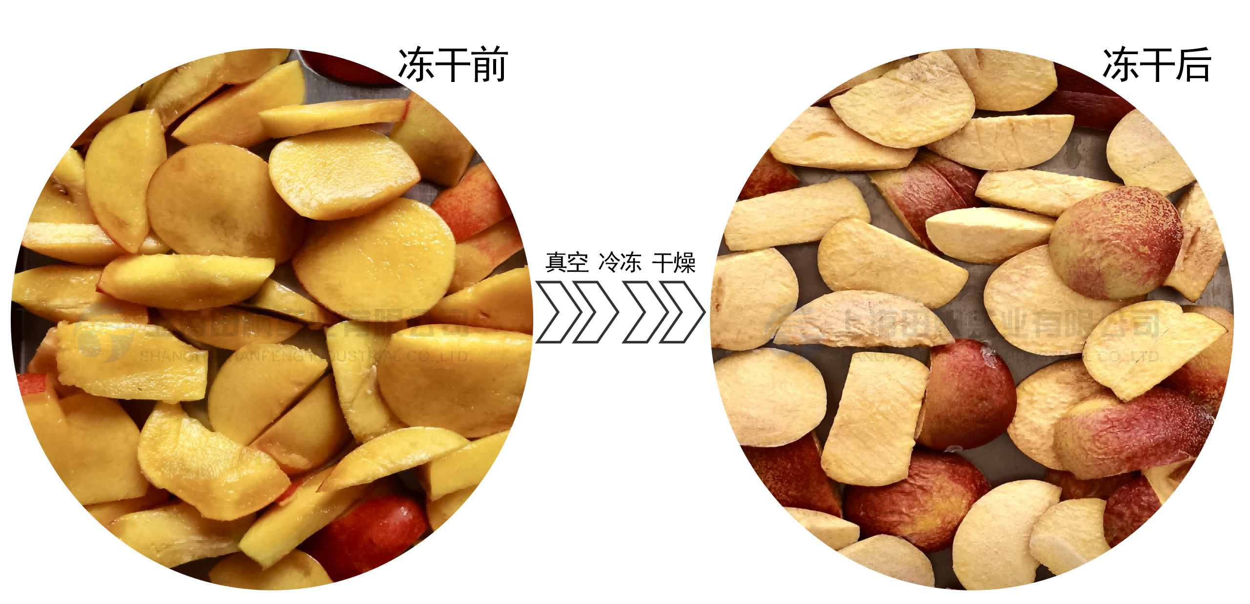 圖片 3(1).png