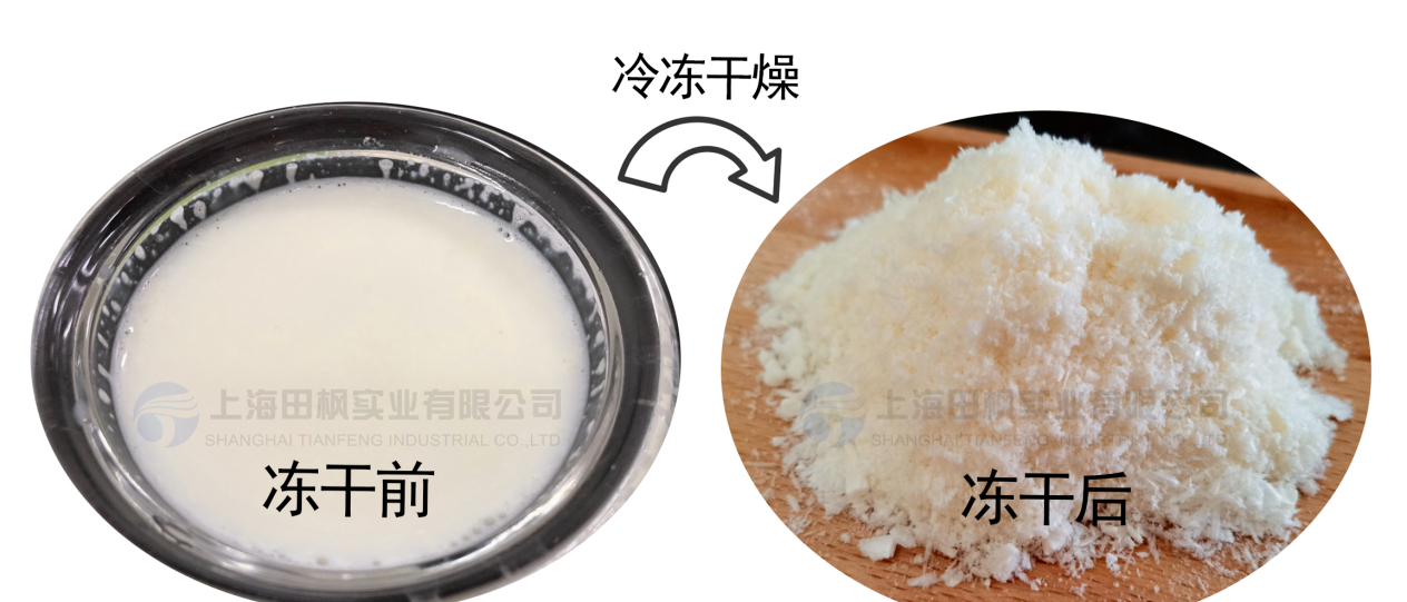 圖片 1.png