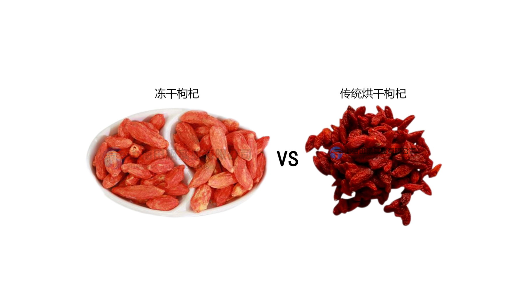 冷凍干燥機(jī)加工枸杞的凍干技術(shù)