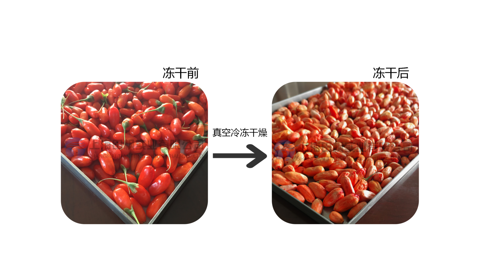 圖片 2.png