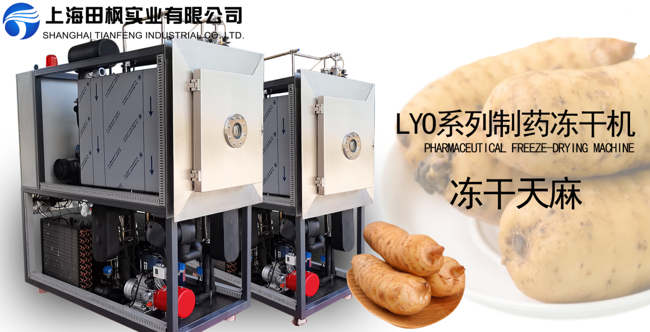 凍干機(jī)在天麻加工中的優(yōu)勢