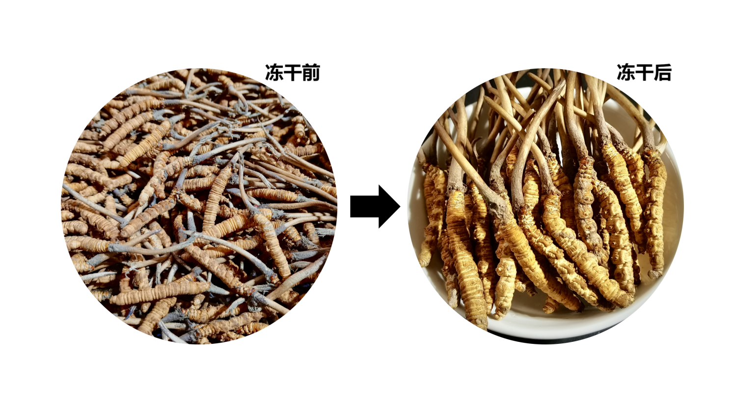 圖片 1.png