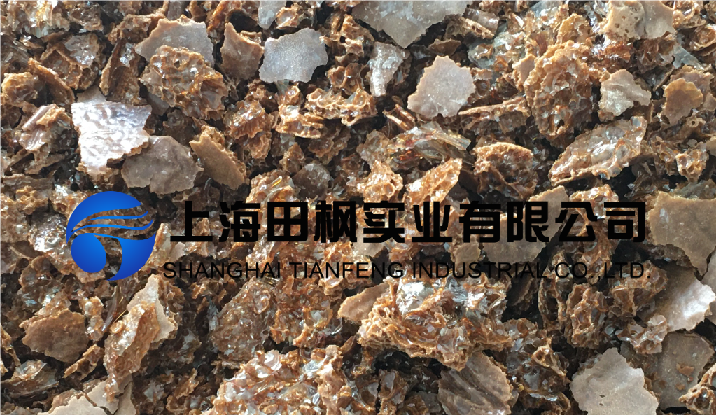 圖片 1.png